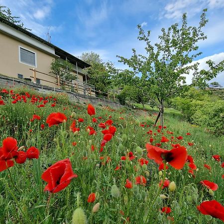 Willa Casa Le Vignole - Aosta Zewnętrze zdjęcie